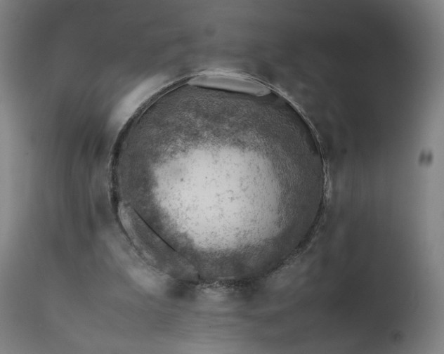 X0000111390199200907171254