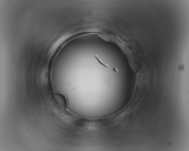 X0000111390200200907171254