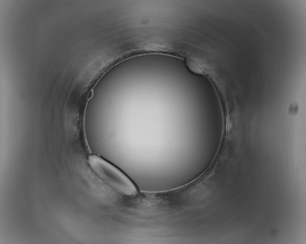 X0000111390201200907171254