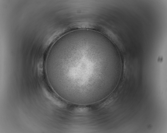 X0000111390202200907171254