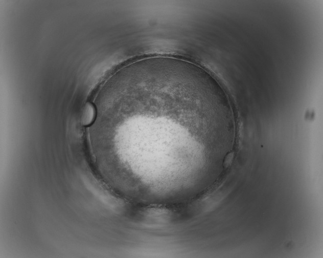 X0000111390203200907171254