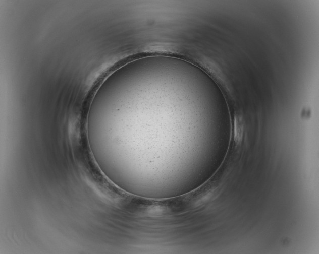 X0000111390204200907171254