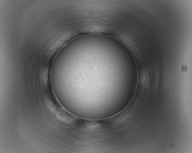 X0000111390206200907171254