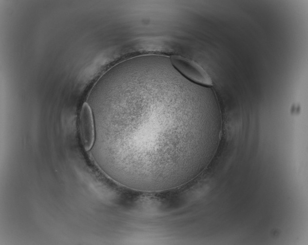 X0000111390207200907171254