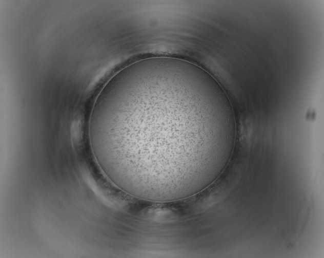 X0000111390208200907171254