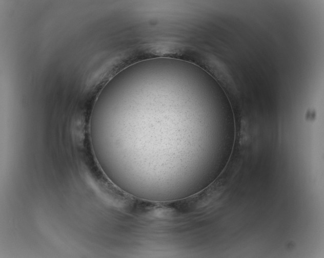 X0000111390210200907171254