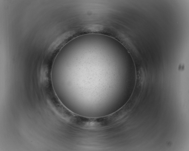 X0000111390212200907171254