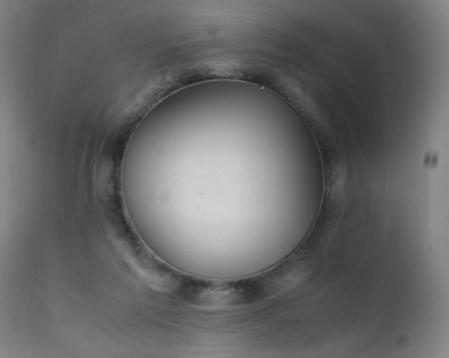 X0000111390213200907171254