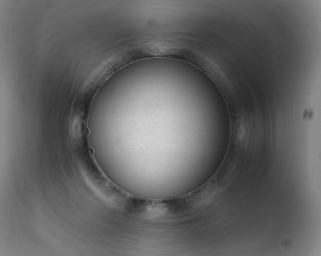 X0000111390214200907171254