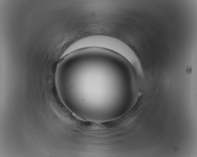 X0000111390215200907171254