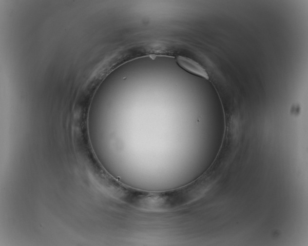 X0000111390217200907171254