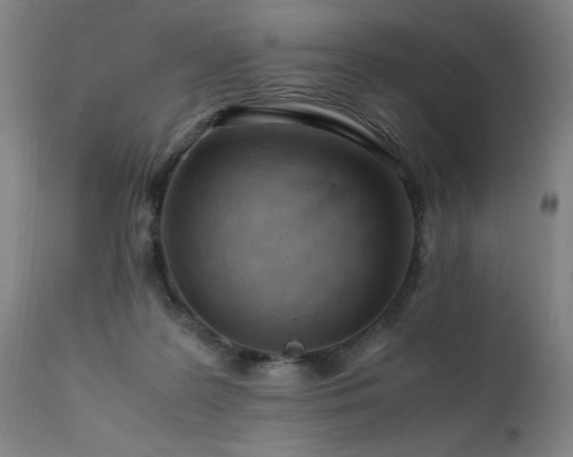 X0000111390219200907171254