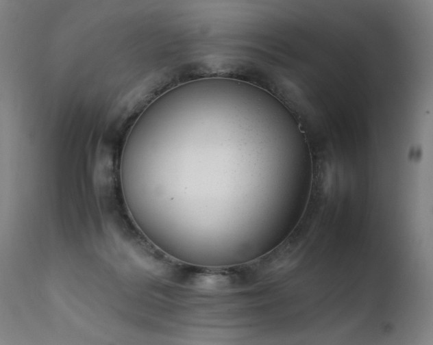 X0000111390220200907171254