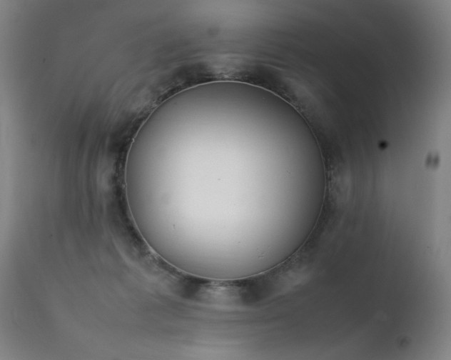 X0000111390221200907171254