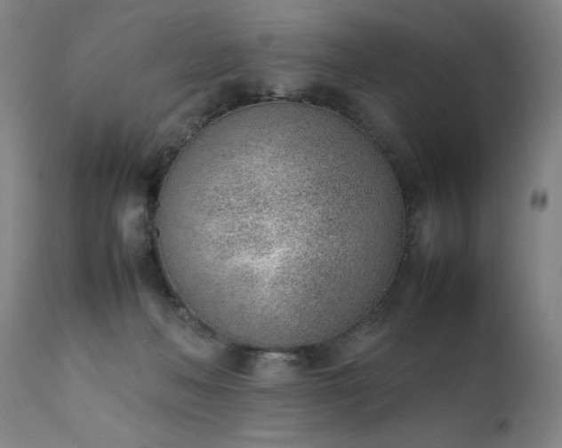 X0000111390222200907171254