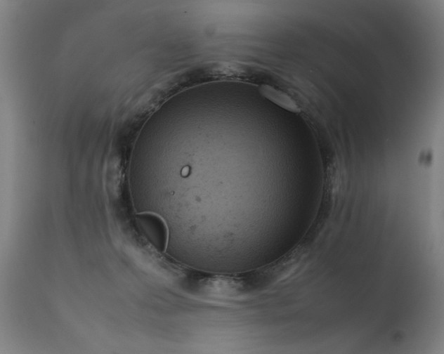 X0000111390223200907171254