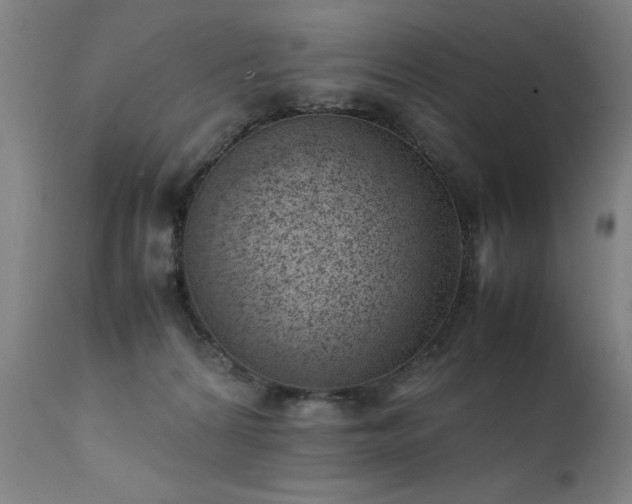 X0000111390224200907171254