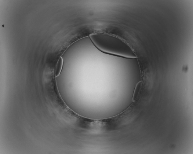 X0000111390225200907171254