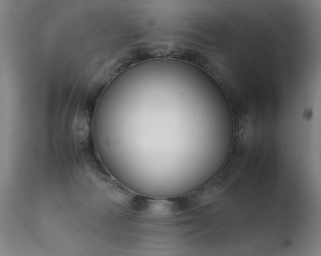 X0000111390226200907171254