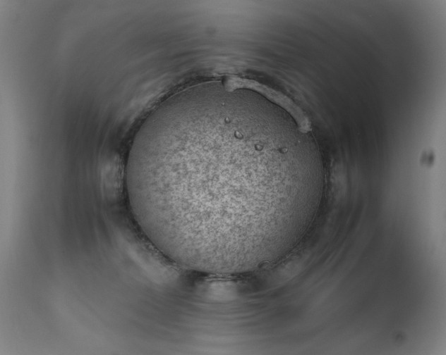 X0000111390228200907171254