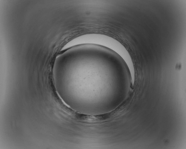 X0000111390229200907171254