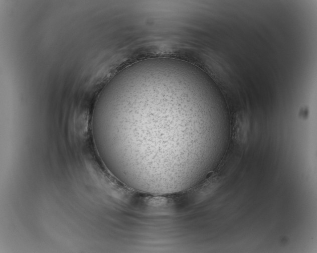 X0000111390230200907171254