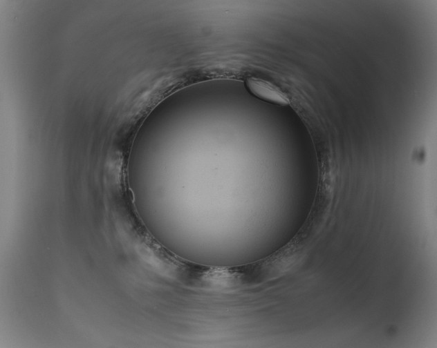 X0000111390231200907171254