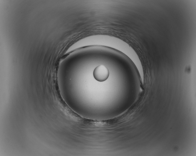 X0000111390233200907171254