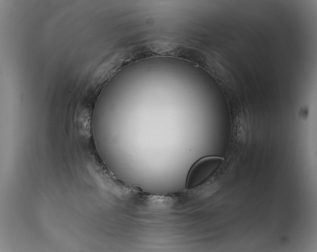 X0000111390234200907171254