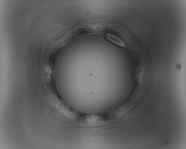 X0000111390235200907171254