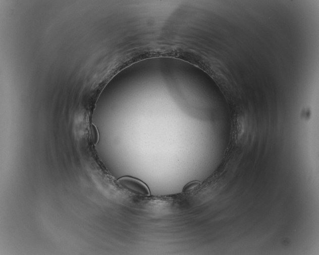 X0000111390236200907171253