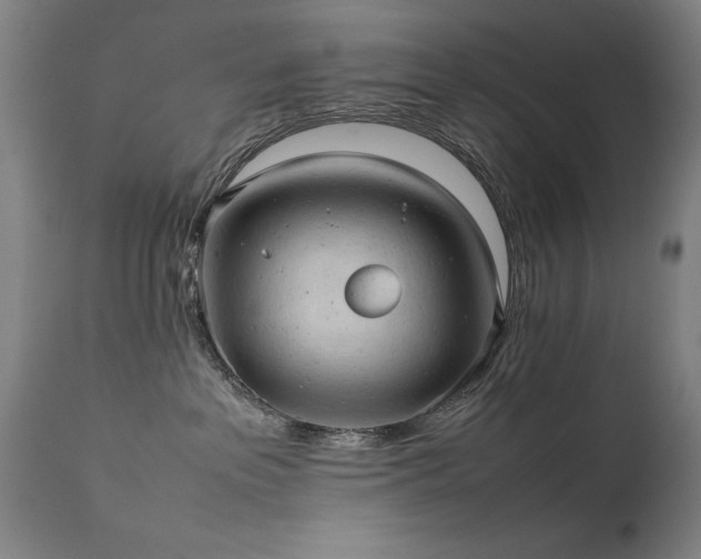 X0000111390237200907171253