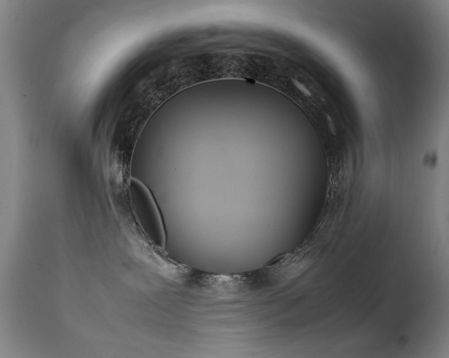 X0000111390239200907171253