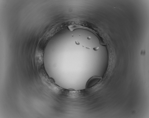 X0000111390240200907171253