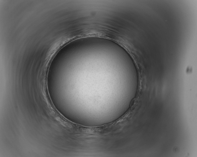 X0000111390241200907171253