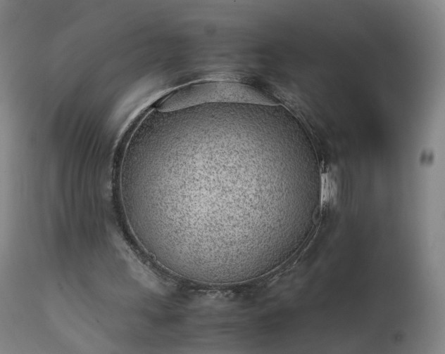 X0000111390243200907171253