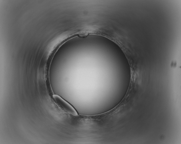 X0000111390244200907171253