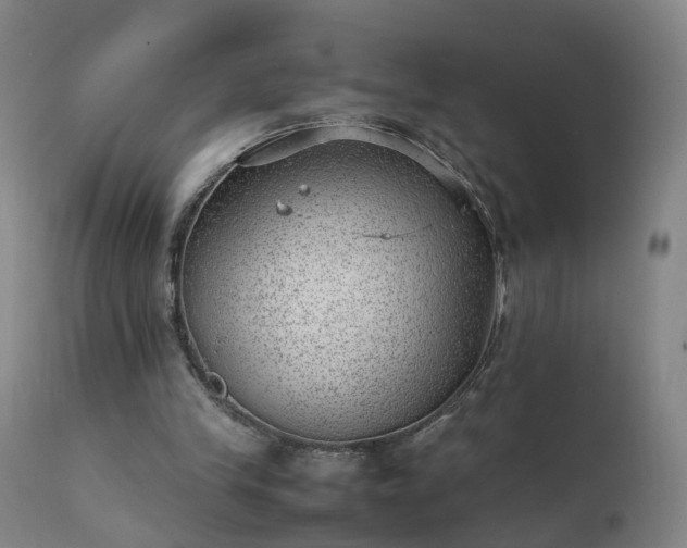 X0000111390245200907171253