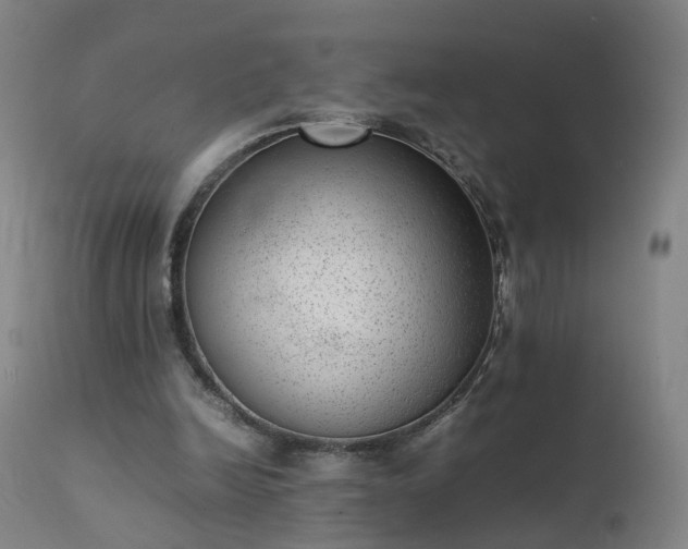 X0000111390246200907171253