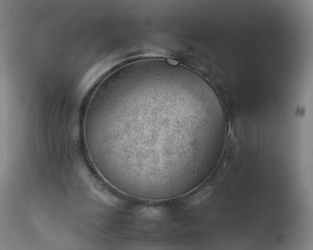 X0000111390247200907171253