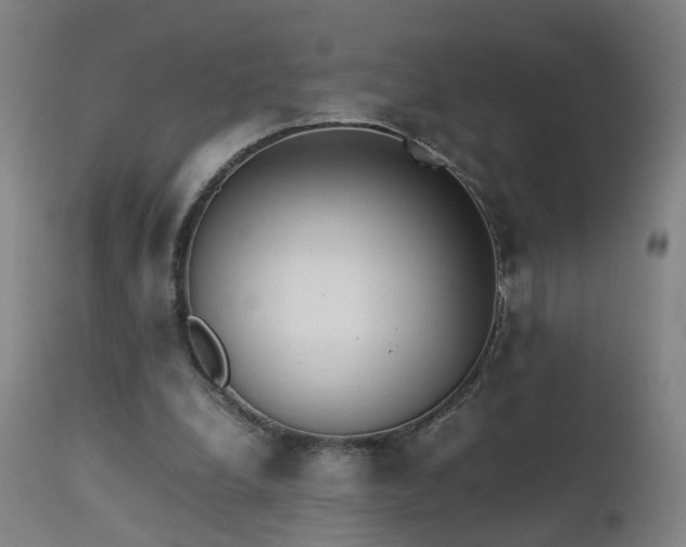 X0000111390248200907171253