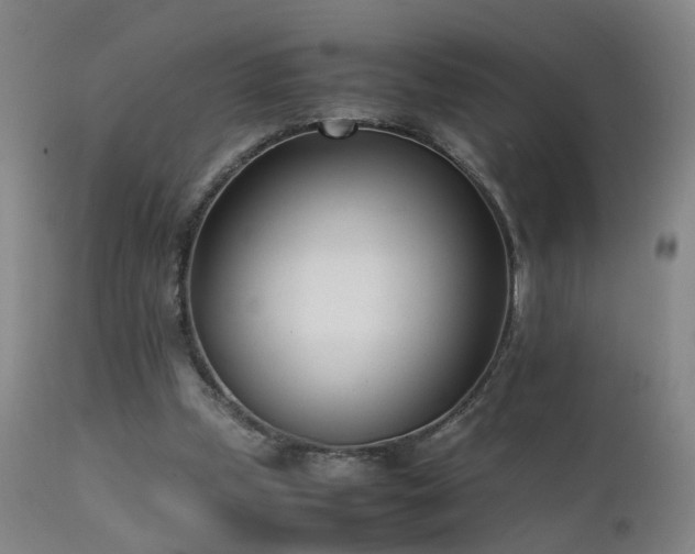 X0000111390249200907171253