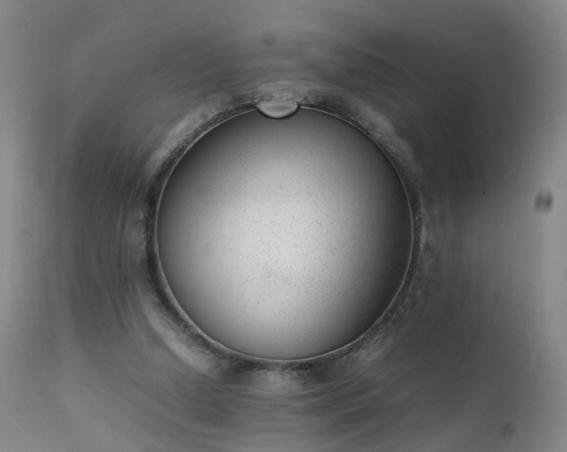 X0000111390250200907171253