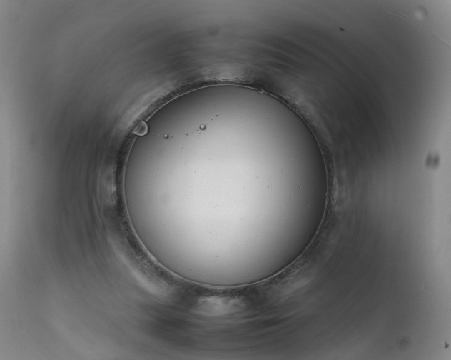 X0000111390251200907171253