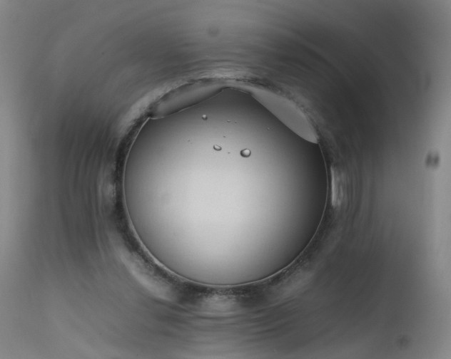 X0000111390252200907171253