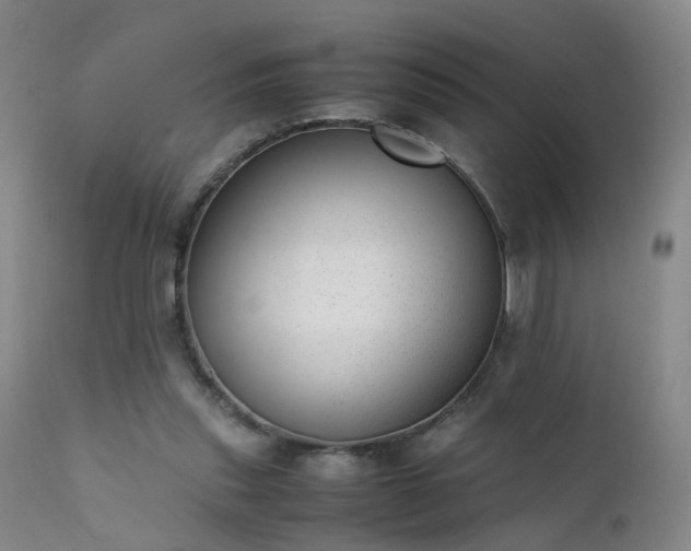 X0000111390253200907171253