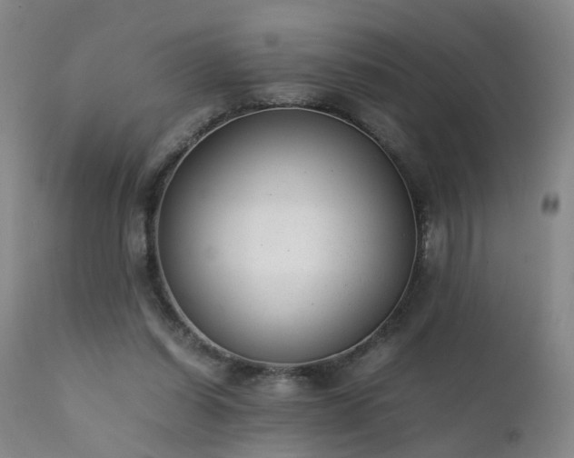 X0000111390254200907171253