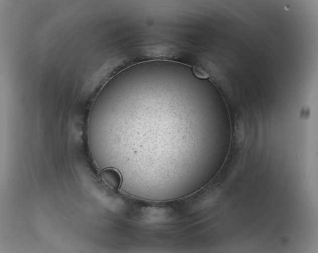 X0000111390255200907171253