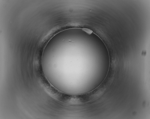 X0000111390256200907171253