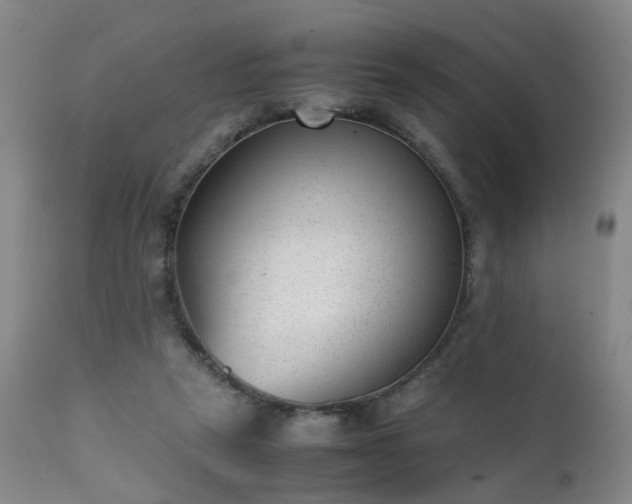 X0000111390257200907171253